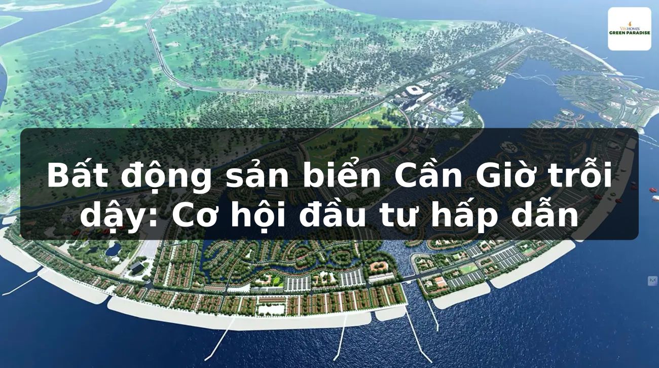 Bất động sản biển Cần Giờ trỗi dậy: Cơ hội đầu tư hấp dẫn