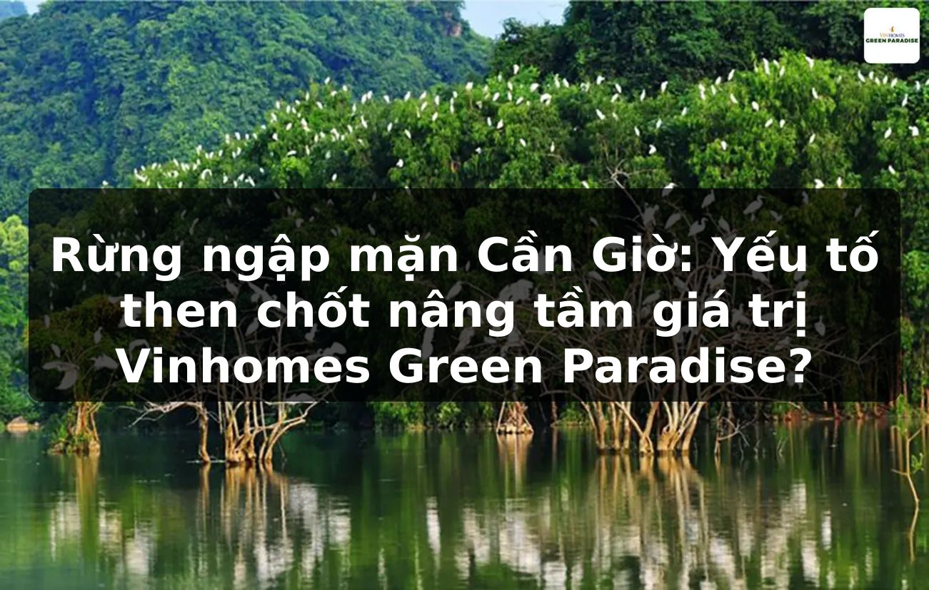 Rừng ngập mặn Cần Giờ: Yếu tố then chốt nâng tầm giá trị Vinhomes Green Paradise?