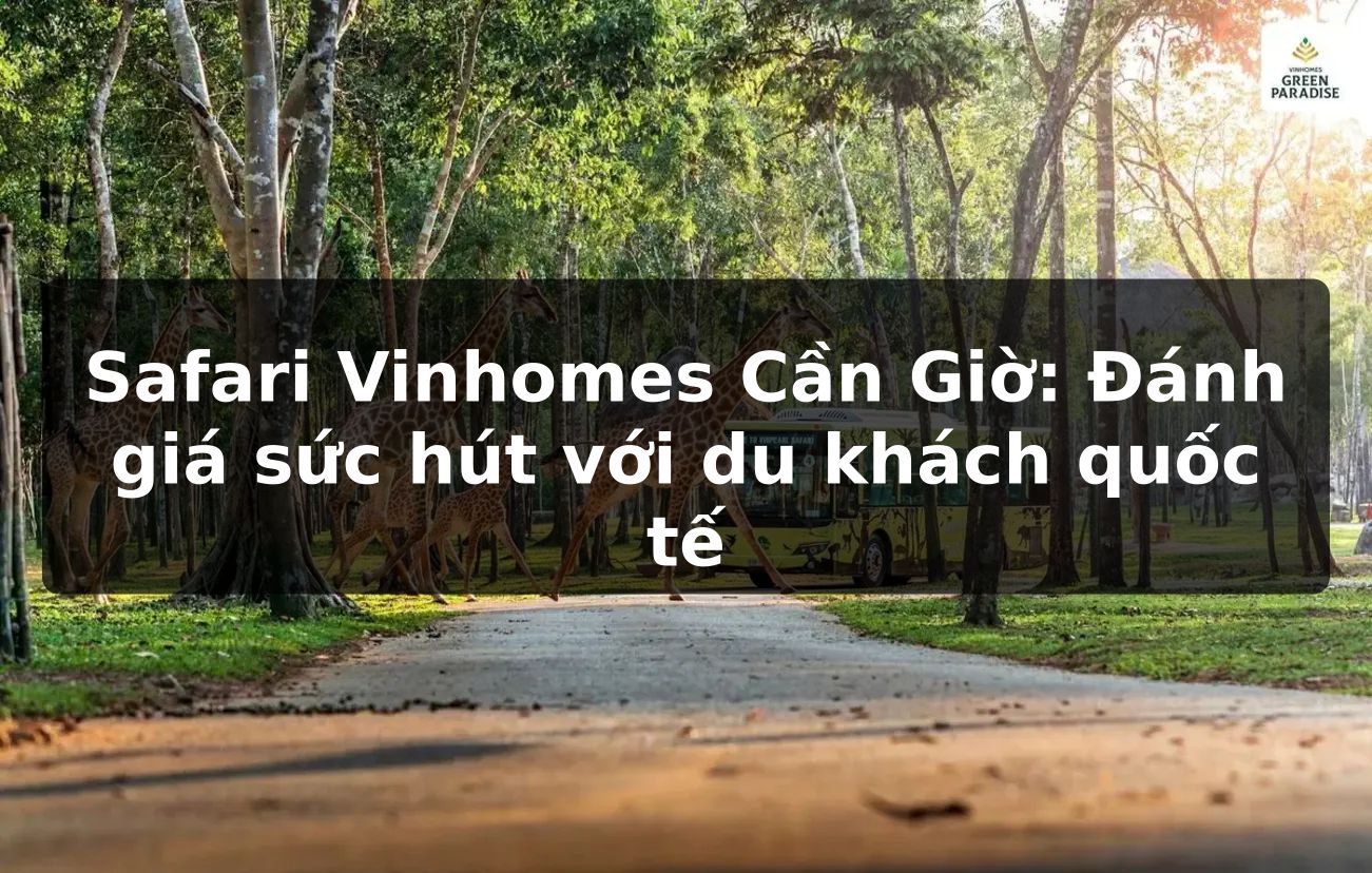 Safari Vinhomes Cần Giờ: Đánh giá sức hút với du khách quốc tế