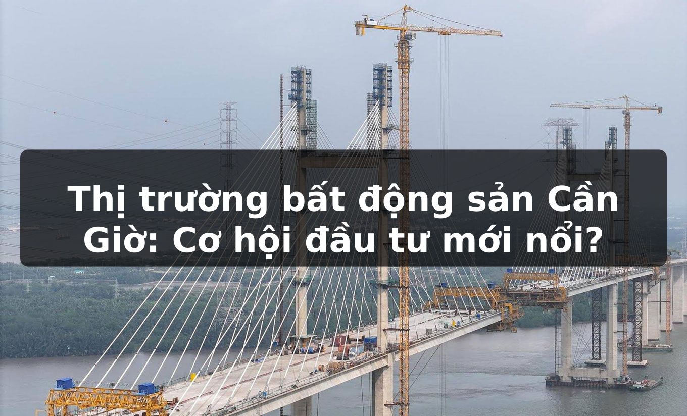 Thị trường bất động sản Cần Giờ: Cơ hội đầu tư mới nổi?