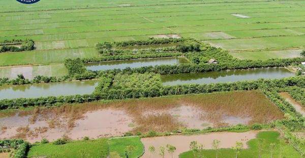 Chuyển Mục Đích Sử Dụng Đất: Trường Hợp Không Cần Xin Phép?