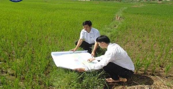Thống kê, Kiểm kê Đất đai theo Luật Đất đai mới nhất: Nguyên tắc & Thời điểm