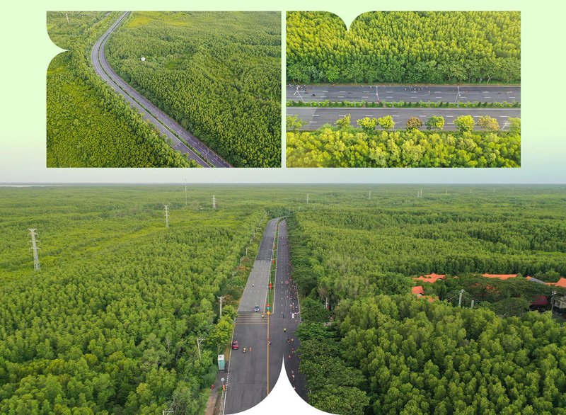 image-vinhomes-can-gio-kham-pha-quy-mo-sieu-du-an-bien-day-tiem-nang-50